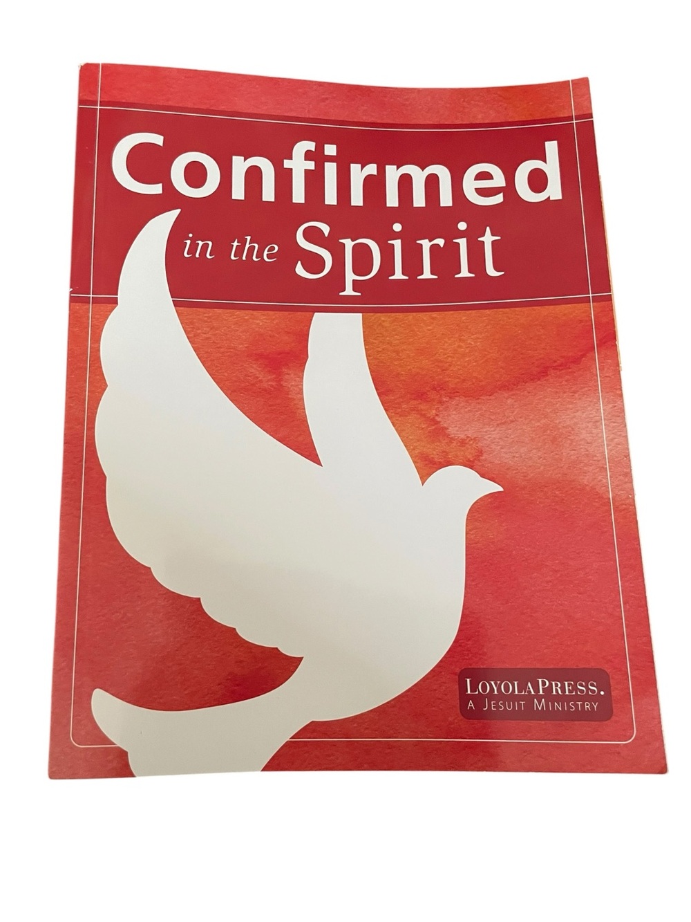 Confirmed in the Spirit Workbook